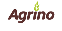 Logo-
